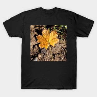 Golden Autumn Maple Leaf T-Shirt